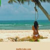 Bikini Island - Puerto Rico Kite Sessions Volume 1