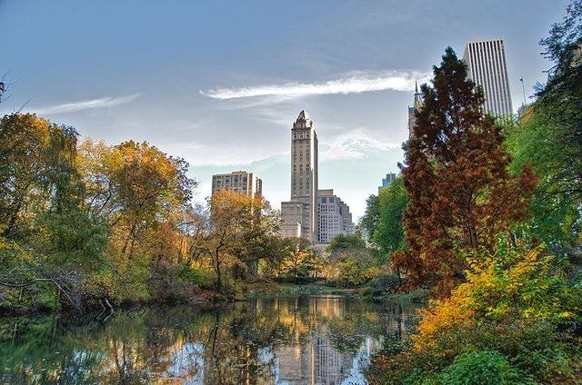 Top Things to Do at the NYC Central Park