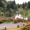 Seattle_Japanese_Garden.jpg