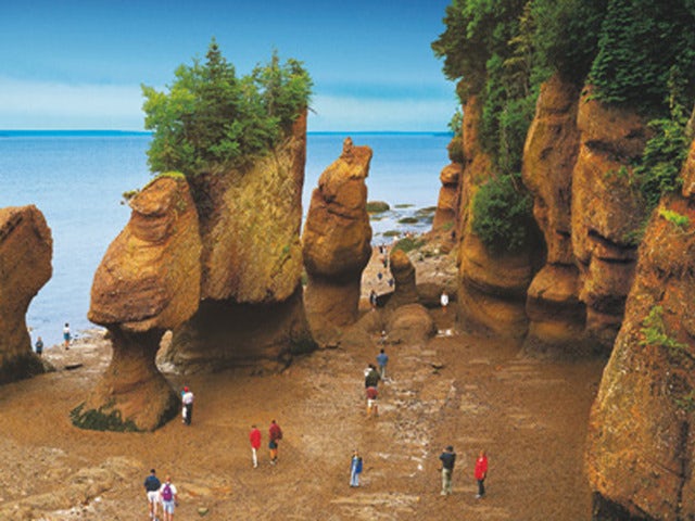 Walk on the bottom of the Sea at the Bay of Fundy