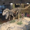 Museum_AL_dinosaur.jpg