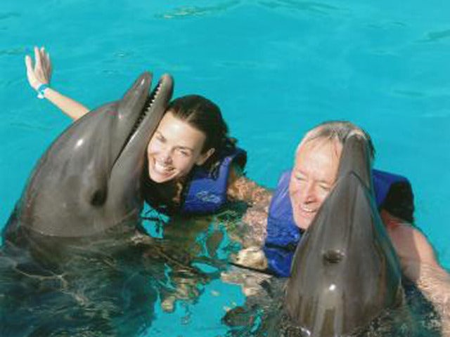 Communicate with a Dolphin on the Nuevo Vallarta Dolphin Swim Experience