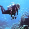 scuba_diving_lesson_in_bermuda_3.jpg