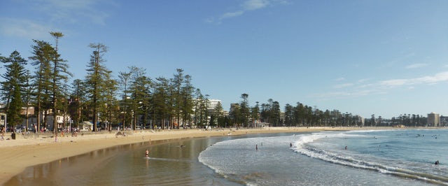 Relax on the Sandy Shores of Manly Beach
