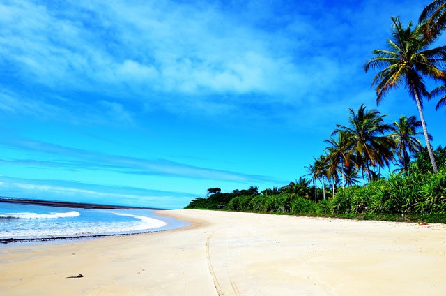 See the Wonders of Coconut Coast
