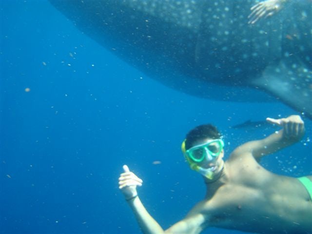 Sunbathe, Snorkel, Scuba Dive in Belize 