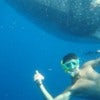 Snorkeling with Whale Shark [1].JPG