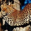 banner-south-africa-attractions.jpg