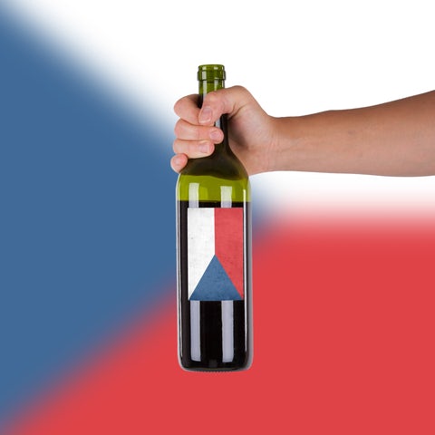 Explore Chile's Wine Country