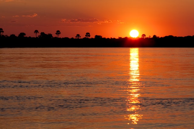 Tiger fishing at sunrise on the Lower Zambezi River