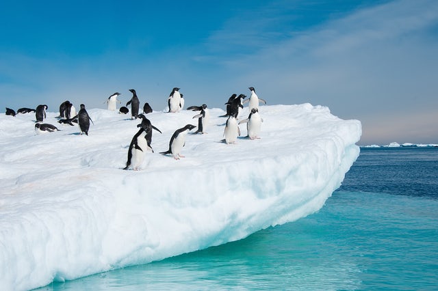 Explore the extraordinary views of Antarctica deep in the icey landscape