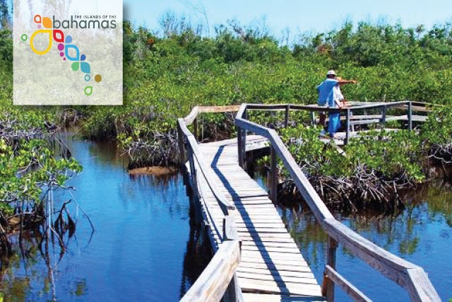 Ecotourism In The Bahamas