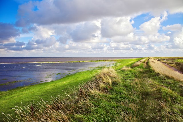     The Wadden Sea 