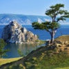 Tree of desires on cape Burhan of Olkhon Island on Lake Baikal, Russia.jpg