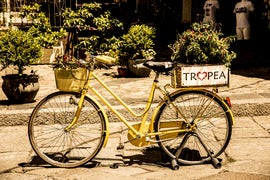 calabria yellow bike.jpg
