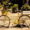 calabria yellow bike.jpg